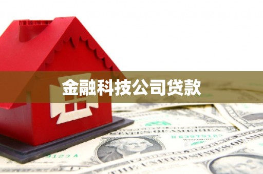 润州金融科技公司贷款