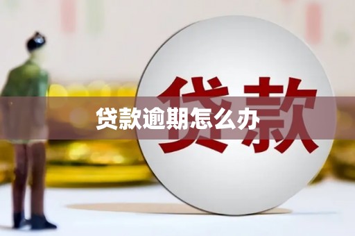 润州贷款逾期怎么办