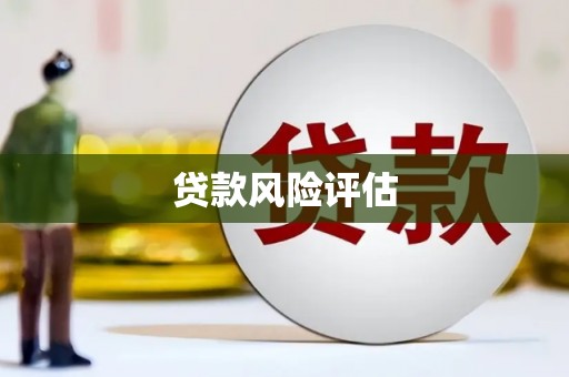 润州贷款风险评估
