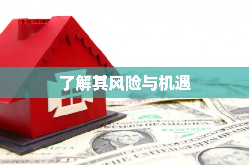 润州了解其风险与机遇