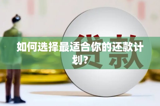 润州如何选择最适合你的还款计划？