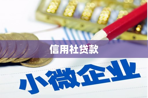 润州信用社贷款