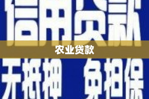 润州农业贷款