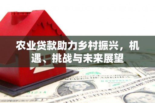 润州农业贷款助力乡村振兴，机遇、挑战与未来展望