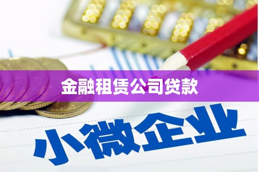 润州金融租赁公司贷款