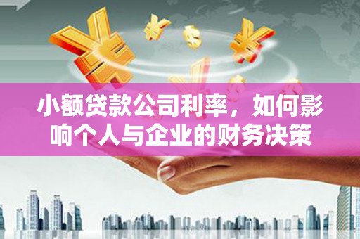 润州小额贷款公司利率，如何影响个人与企业的财务决策