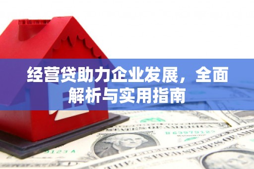 润州经营贷助力企业发展，全面解析与实用指南