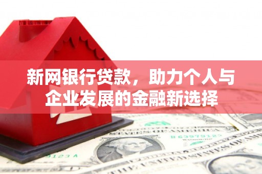 润州新网银行贷款，助力个人与企业发展的金融新选择