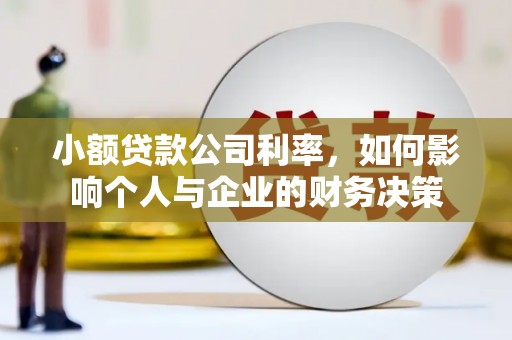 润州小额贷款公司利率，如何影响个人与企业的财务决策