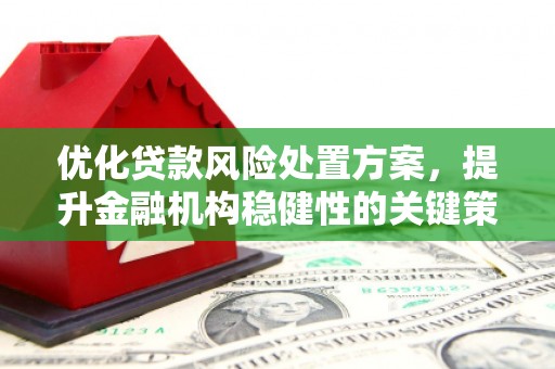 润州优化贷款风险处置方案，提升金融机构稳健性的关键策略