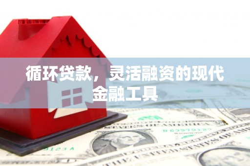 润州循环贷款，灵活融资的现代金融工具
