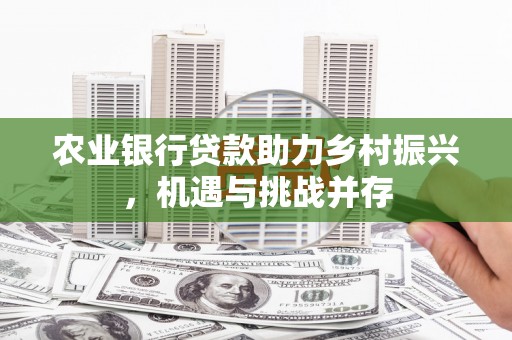 润州农业银行贷款助力乡村振兴，机遇与挑战并存