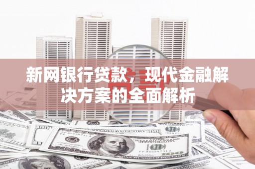 润州新网银行贷款，现代金融解决方案的全面解析