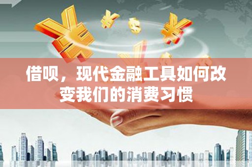润州借呗，现代金融工具如何改变我们的消费习惯