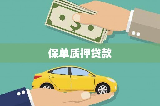 润州保单质押贷款
