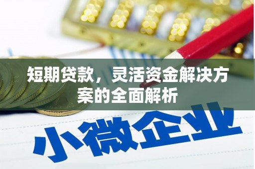 润州短期贷款，灵活资金解决方案的全面解析