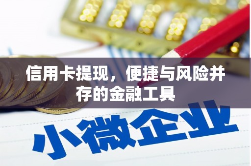 润州信用卡提现，便捷与风险并存的金融工具