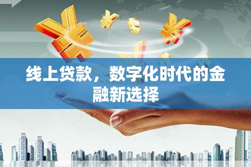润州线上贷款，数字化时代的金融新选择