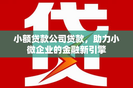 润州小额贷款公司贷款，助力小微企业的金融新引擎