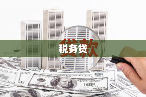润州税务贷