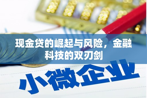 润州现金贷的崛起与风险，金融科技的双刃剑