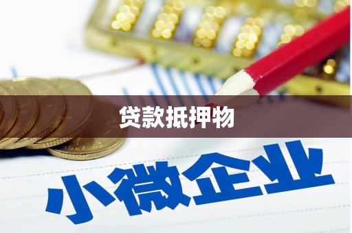 润州贷款抵押物