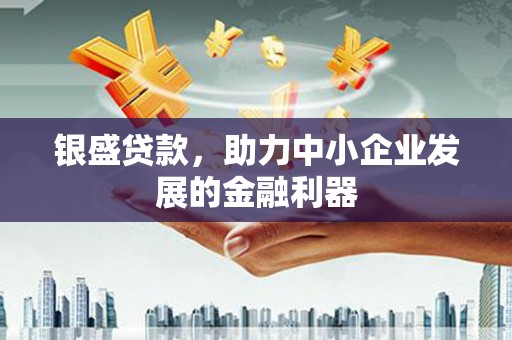 润州银盛贷款，助力中小企业发展的金融利器