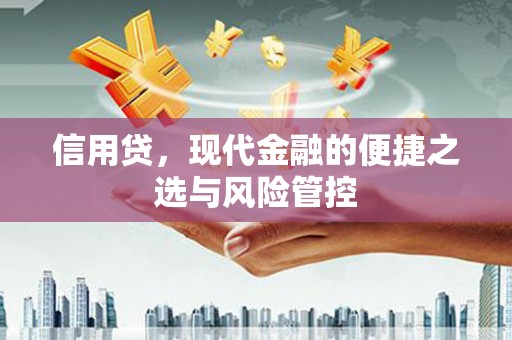 润州信用贷，现代金融的便捷之选与风险管控