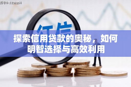 润州探索信用贷款的奥秘，如何明智选择与高效利用