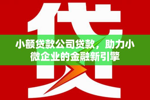 润州小额贷款公司贷款，助力小微企业的金融新引擎