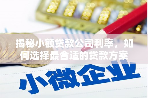 润州揭秘小额贷款公司利率，如何选择最合适的贷款方案