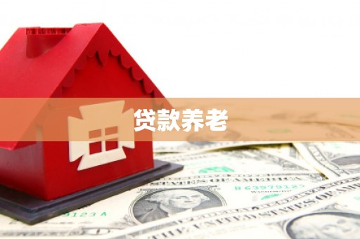 润州贷款养老