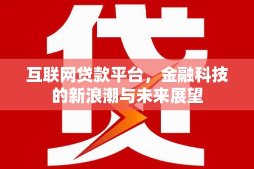 润州互联网贷款平台，金融科技的新浪潮与未来展望