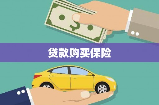 润州贷款购买保险