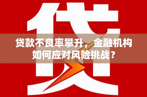 润州贷款不良率攀升，金融机构如何应对风险挑战？