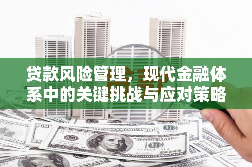润州贷款风险管理，现代金融体系中的关键挑战与应对策略