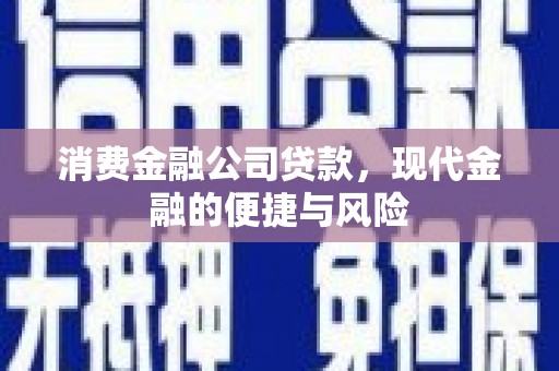 润州消费金融公司贷款，现代金融的便捷与风险