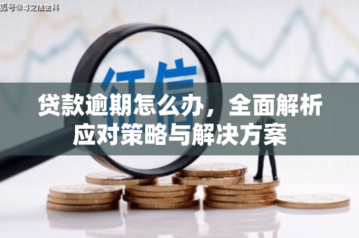 润州贷款逾期怎么办，全面解析应对策略与解决方案