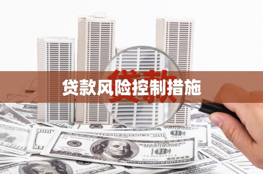 润州贷款风险控制措施
