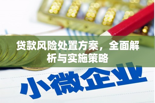 润州贷款风险处置方案，全面解析与实施策略
